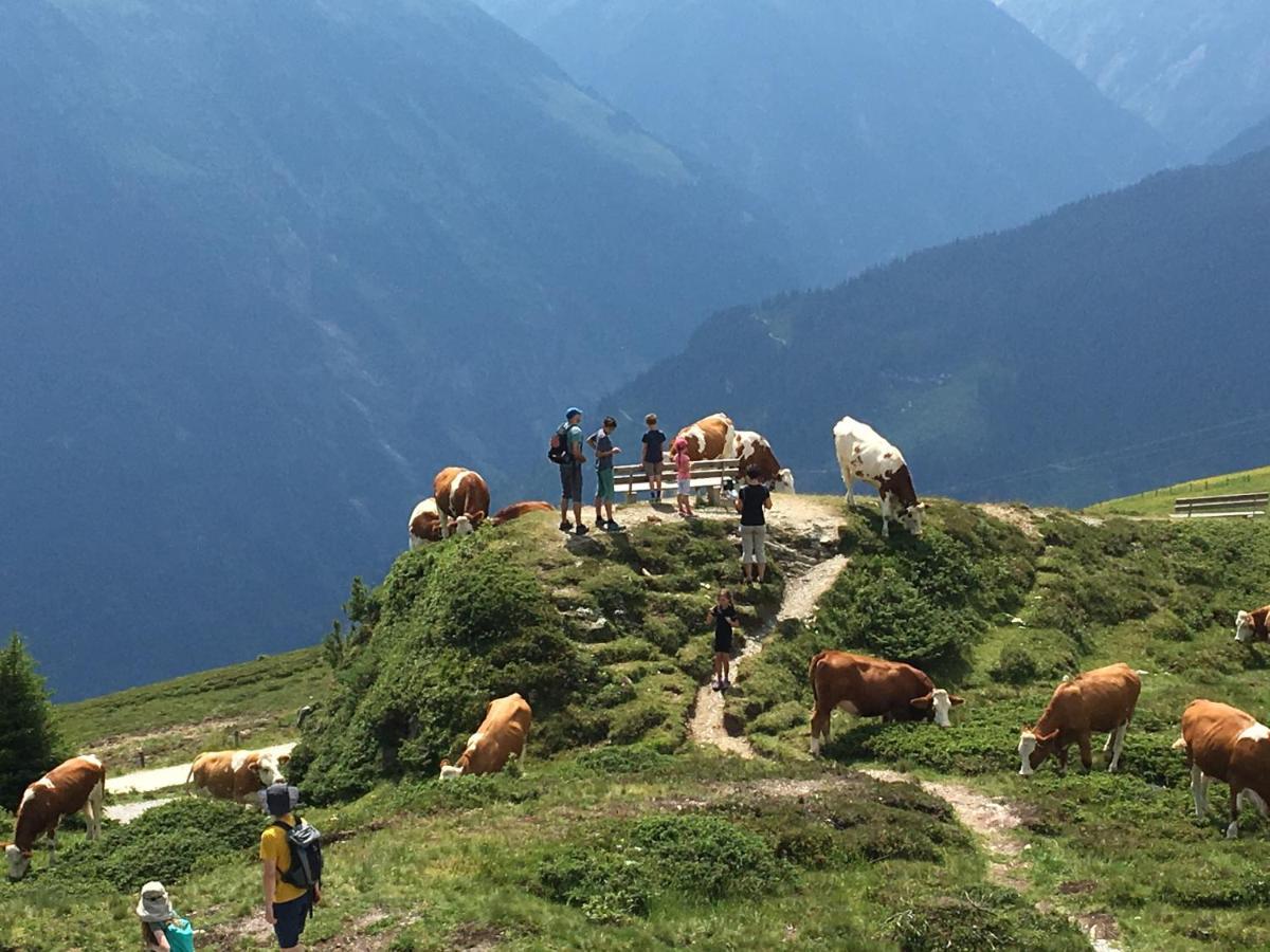 Landhaus Zillertal Ramsau im Zillertal Extérieur photo
